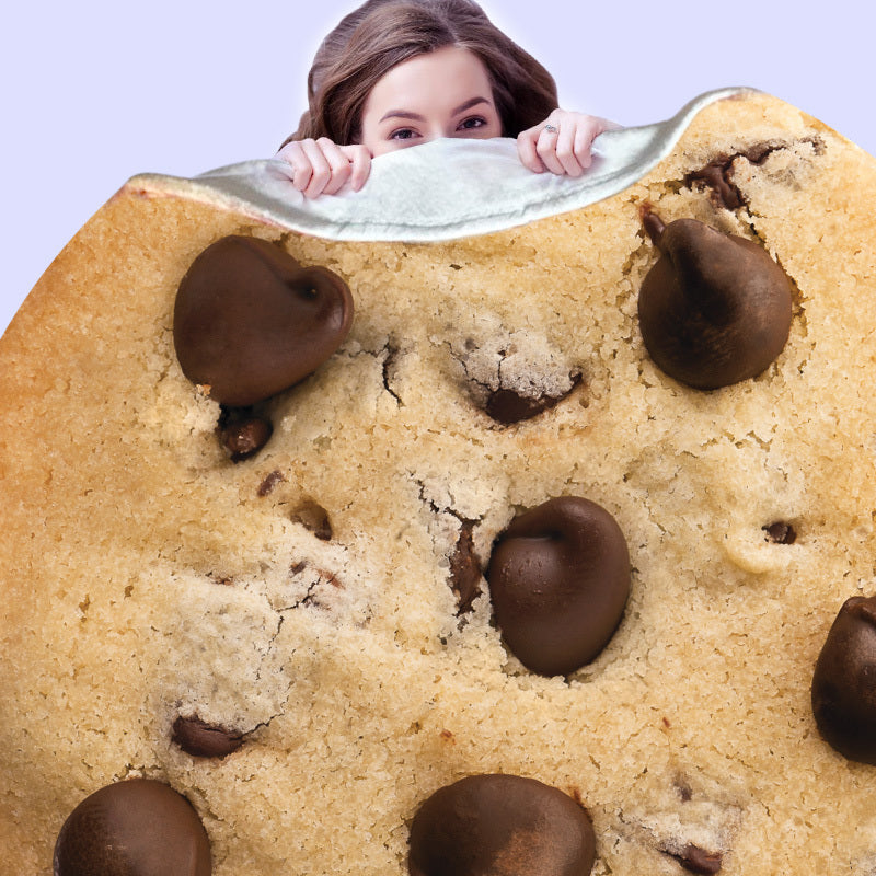 Chocolate chip cookie clearance pillow